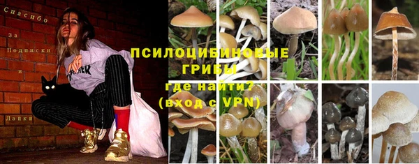 дурь Новозыбков