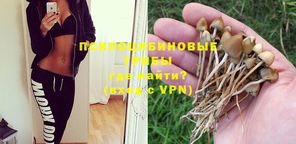 каннабис Новодвинск