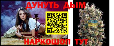 ALPHA PVP Гатчина