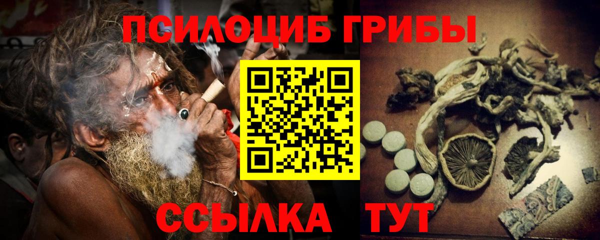 Галлюциногенные грибы MAGIC MUSHROOMS  Вход с VPN  Майкоп 