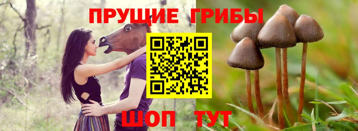 Псилоцибиновые грибы мухоморы Майкоп